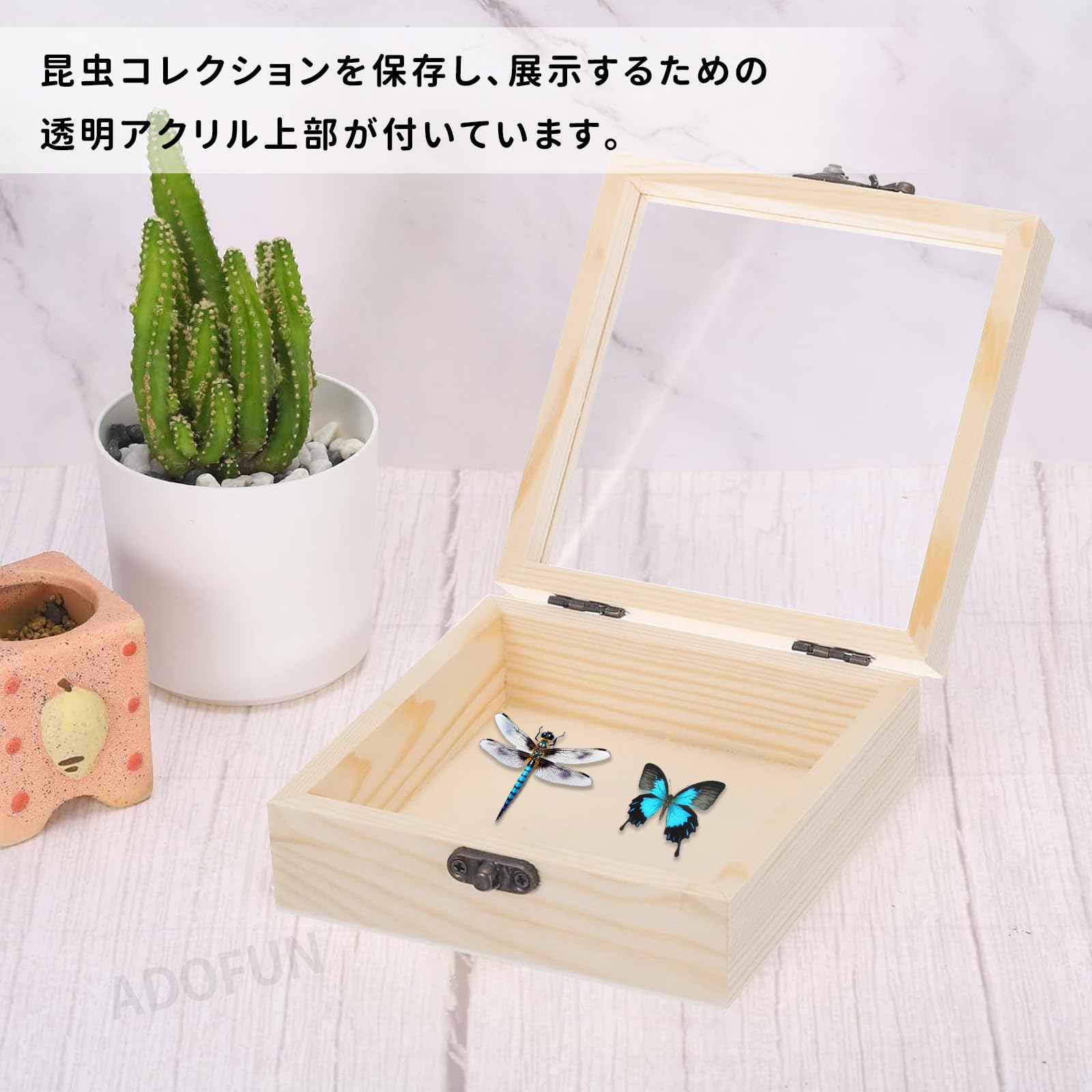 Amazon.co.jp: ADOFUN 標本箱 透明昆虫蝶標本箱 昆虫標本展示ボックス